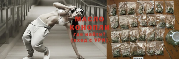 индика Бородино