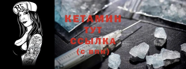 индика Бородино
