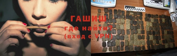 индика Бородино