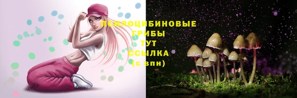 Альфа ПВП Богородицк