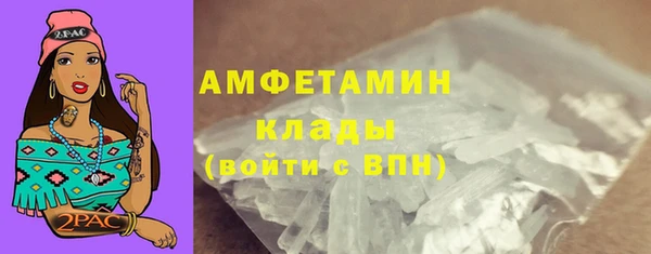 индика Бородино
