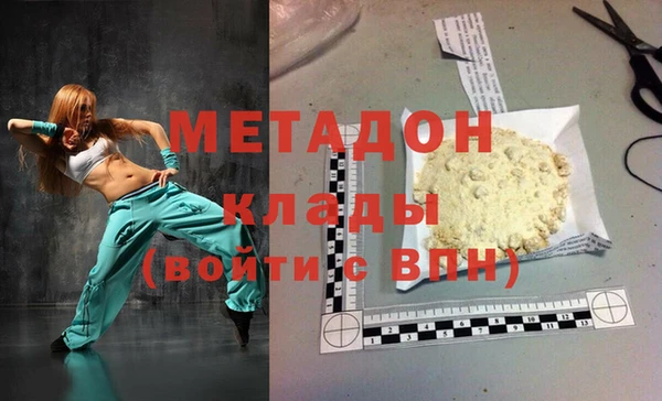 индика Бородино
