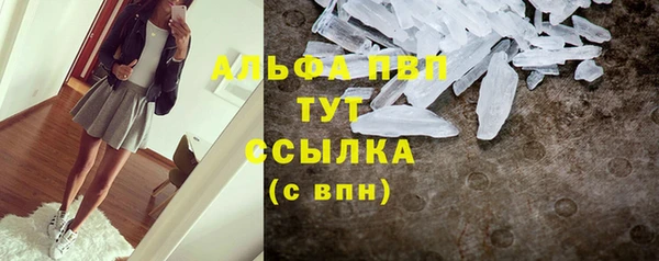 индика Бородино
